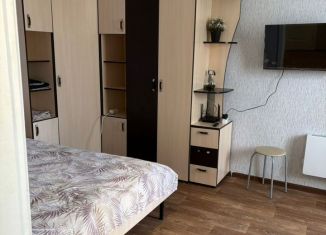 Сдача в аренду однокомнатной квартиры, 25 м2, Саратов, Заречная улица, 25