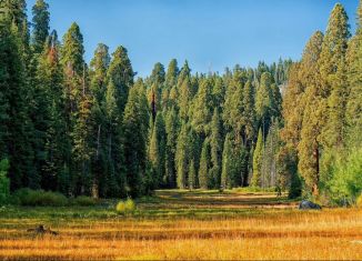 Продам гараж, 30 м2, Саянск, микрорайон Мирный, 5А
