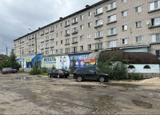 Помещение свободного назначения на продажу, 800 м2, Гусь-Хрустальный, Люксембургская улица, 8