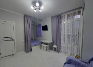 Продам квартиру студию, 25 м2, Сочи, улица Тимирязева, 21А, микрорайон Донская