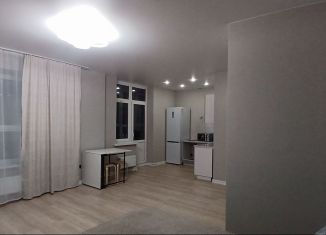 Аренда квартиры студии, 38 м2, Краснодар, улица имени Героя Николая Шевелёва, 17, микрорайон Губернский