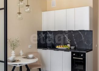 Продается квартира студия, 24.2 м2, Санкт-Петербург, Фарфоровская улица, 7к1, ЖК Стрижи в Невском 2