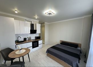 Сдаю в аренду квартиру студию, 30 м2, Ростов-на-Дону, 20-я улица, 49, Ленинский район