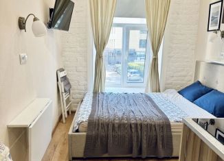 Аренда квартиры студии, 17 м2, Санкт-Петербург, Сытнинская улица, 10, муниципальный округ Кронверкское