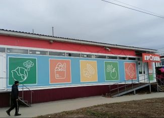 Продается торговая площадь, 522.6 м2, Пугачёв, Пушкинская улица, 234