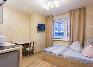 Сдам в аренду однокомнатную квартиру, 22 м2, Москва, Автозаводская улица, 23с120, ЮАО
