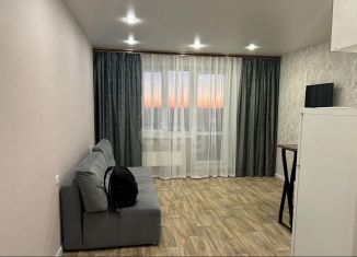 Сдам в аренду квартиру студию, 21 м2, Тюмень, улица Тимофея Чаркова, 28, ЖК Новый Мыс 3.0