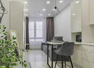 Продается квартира студия, 25.6 м2, Нижний Новгород, улица Максима Горького, 23А, Нижегородский район