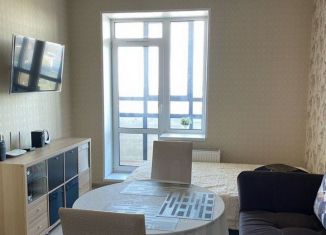 Продается квартира студия, 22 м2, Санкт-Петербург, Репищева улица, 10к2, муниципальный округ Юнтолово