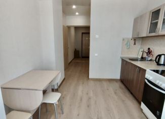 1-комнатная квартира в аренду, 43 м2, Новосибирск, улица Виктора Шевелёва, 20, Кировский район