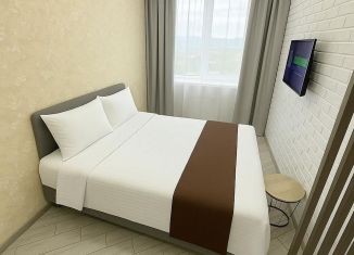 Сдаю в аренду 1-ком. квартиру, 24 м2, Сочи, Ясногорская улица, 16/2к4, микрорайон Бытха