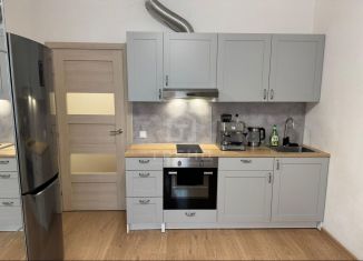 Продается квартира студия, 24.6 м2, Кудрово, Английская улица, 3к3