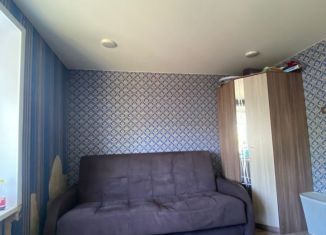 Сдается квартира студия, 20 м2, Екатеринбург, Панельная улица, 17к1, метро Ботаническая