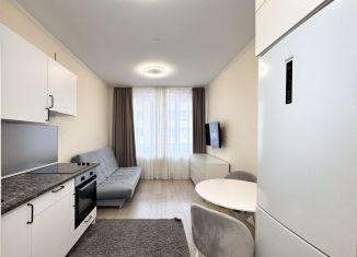 Продаю квартиру студию, 20.5 м2, Санкт-Петербург, метро Озерки, набережная реки Каменки, 11к2