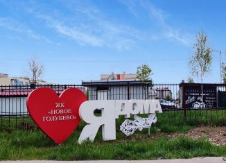 Продается квартира студия, 21.1 м2, посёлок Голубево, Изумрудная улица, 25