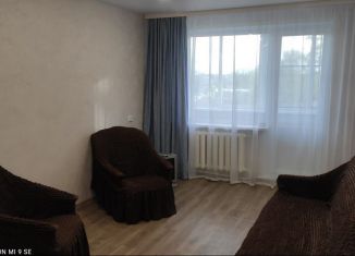 Сдам в аренду однокомнатную квартиру, 32 м2, Городец, Северный микрорайон, 10