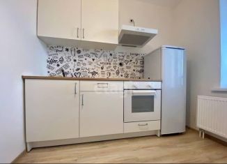 Сдается однокомнатная квартира, 35 м2, Санкт-Петербург, Русановская улица, 18к3, метро Обухово