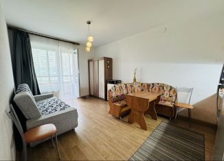 Сдам квартиру студию, 25 м2, Мурино, Воронцовский бульвар, 4