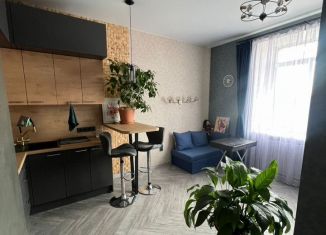 Квартира на продажу студия, 29 м2, Санкт-Петербург, улица Профессора Попова, 41/5, метро Чёрная речка