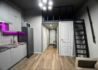 Продаю квартиру студию, 27 м2, Санкт-Петербург, набережная Обводного канала, метро Фрунзенская