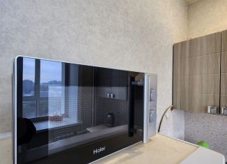 Сдается в аренду 1-ком. квартира, 40 м2, Амурская область, улица Горького, 193