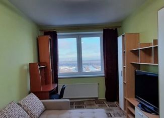 Сдам 1-комнатную квартиру, 39 м2, Санкт-Петербург, Русановская улица, 18к6, метро Обухово