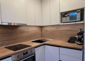 Сдам в аренду 1-ком. квартиру, 32 м2, Москва, Первомайская улица, 43, метро Измайловская
