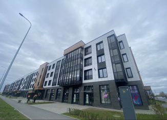 Продаю квартиру студию, 25.6 м2, посёлок Шушары, Колпинское шоссе, 127