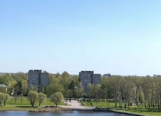 Продаю трехкомнатную квартиру, 58 м2, Колпино, Адмиралтейская улица, 15