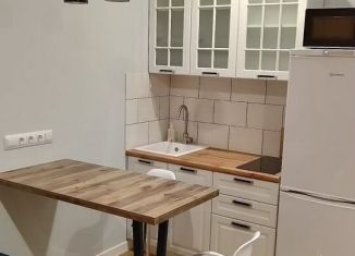 Аренда квартиры студии, 21 м2, Ростов-на-Дону, улица Ерёменко, 110/2с1, ЖК Пятый Элемент