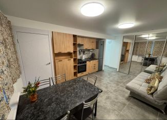 Аренда 2-ком. квартиры, 39.3 м2, Петрозаводск, улица Кузьмина, 39