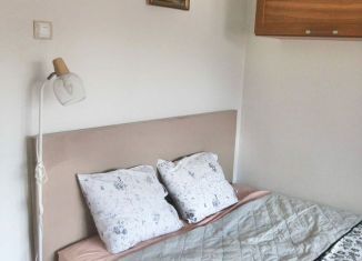 Сдается 2-комнатная квартира, 60 м2, Санкт-Петербург, улица Олеко Дундича