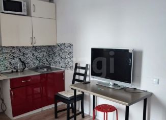 Квартира на продажу студия, 22 м2, Санкт-Петербург, Муринская дорога, 12к2, муниципальный округ Полюстрово