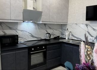 Сдача в аренду 1-ком. квартиры, 38 м2, Краснодар, улица Ивана Беличенко, 95