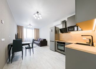 Сдам в аренду 1-ком. квартиру, 46 м2, Екатеринбург, Печёрская улица, 4, метро Площадь 1905 года