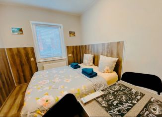 Сдается квартира студия, 24 м2, Лобня, улица Киово, 2А