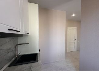 Квартира на продажу студия, 27 м2, посёлок Шушары, Старорусский проспект, 8к2