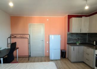 Сдаю квартиру студию, 26 м2, Санкт-Петербург, Пулковское шоссе, 42к6, Московский район
