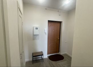 Сдается в аренду однокомнатная квартира, 43 м2, Санкт-Петербург, Комендантский проспект, 53к3, муниципальный округ Коломяги