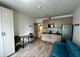 Сдается квартира студия, 21 м2, Санкт-Петербург, Муринская дорога, 25к2, Красногвардейский район