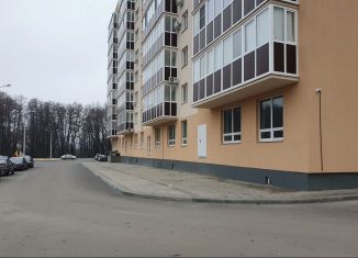 Продажа помещения свободного назначения, 122.5 м2, Воронеж, Тепличная улица, 26/11, Советский район