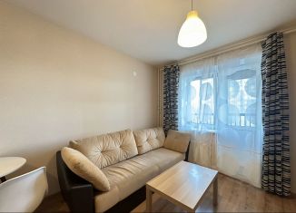 Продается квартира студия, 25.3 м2, Санкт-Петербург, Славянская улица, 28, Невский район