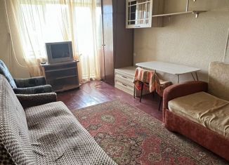 Сдается однокомнатная квартира, 30 м2, Нижний Новгород, Запрудная улица, 2