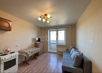 Аренда квартиры студии, 20 м2, Тюмень, улица Тимофея Чаркова, 28, ЖК Новый Мыс 3.0