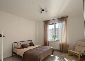 Сдам 1-ком. квартиру, 34 м2, Санкт-Петербург, улица Струве, 4, Московский район