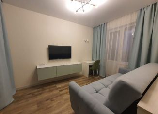Сдаю 1-ком. квартиру, 40 м2, Новосибирск, улица Писарева, 125, Центральный район