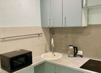 Сдам в аренду 1-комнатную квартиру, 30 м2, Новосибирск, Выборная улица, 119, Октябрьский район