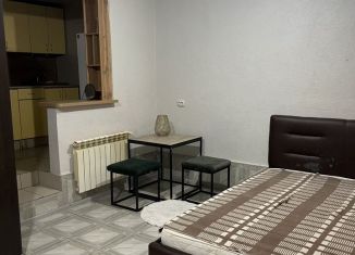Сдам в аренду квартиру студию, 27 м2, Сочи, Пасечная улица, 42/4, микрорайон Донская