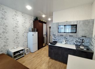 Продается квартира студия, 22 м2, село Чигири, Садовая улица, 22/1
