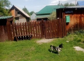 Сдам в аренду дом, 40 м2, посёлок Турбаза Юность, улица Шишкова, 8